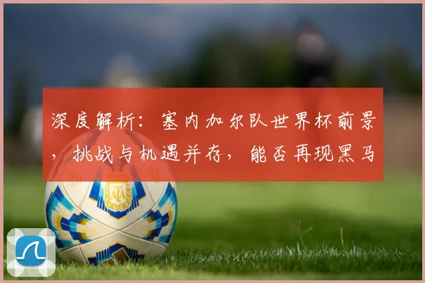 深度解析：塞内加尔队世界杯前景，挑战与机遇并存，能否再现黑马奇迹？