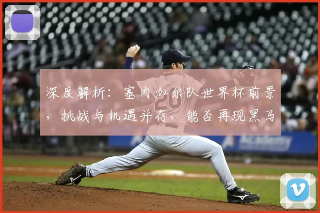 深度解析:塞内加尔队世界杯前景,挑战与机遇并存,能否再现黑马奇迹?