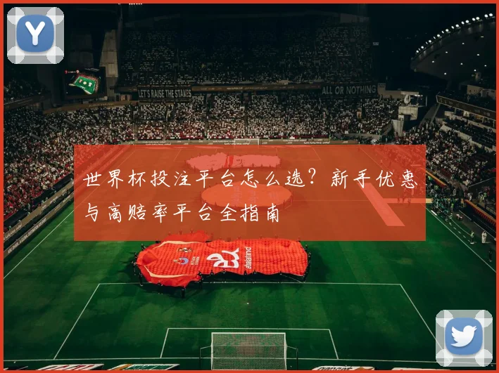 世界杯投注平台怎么选?新手优惠与高赔率平台全指南